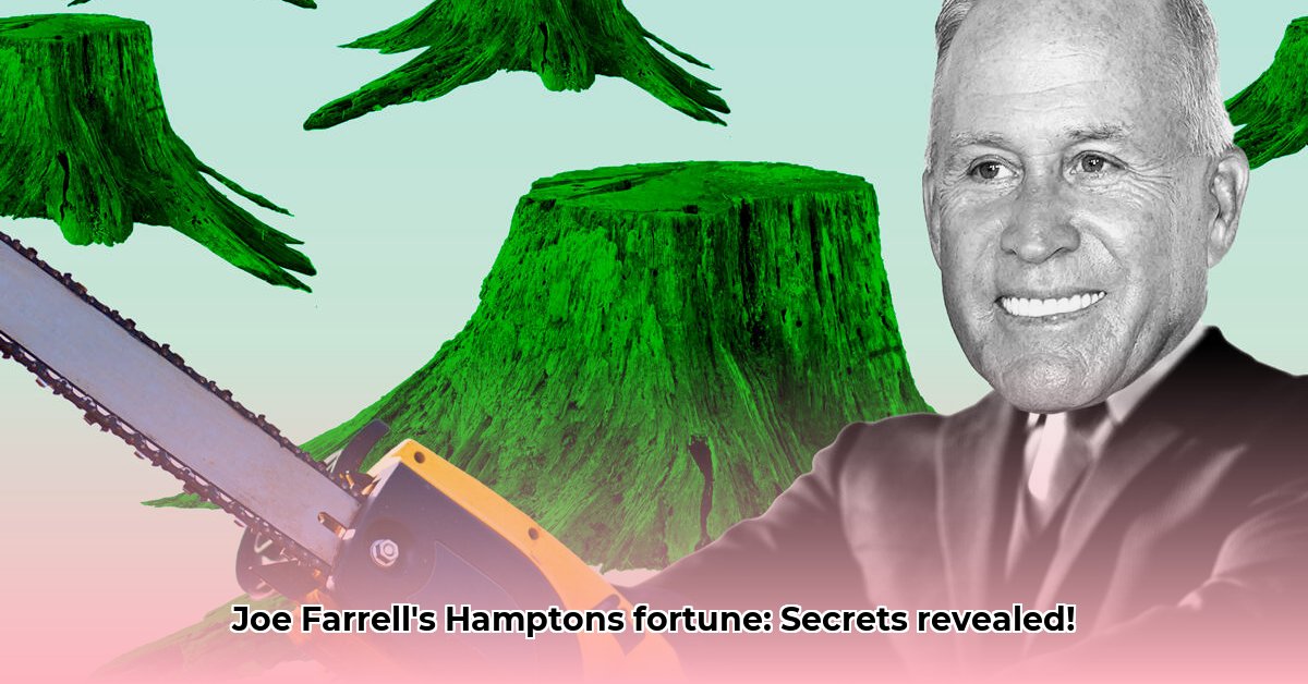 joe-farrell-hamptons-net-worth